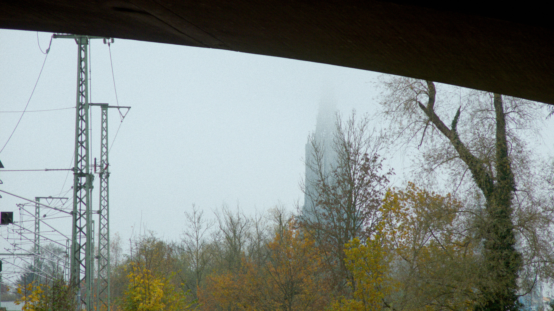 ulmer muenster in fog